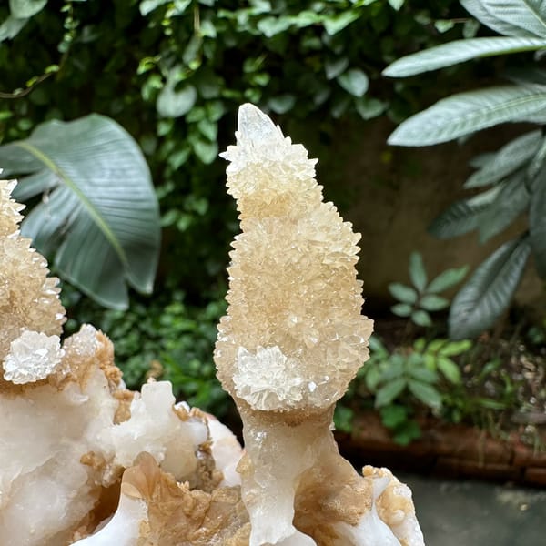 Two cream stalactitic calcite spires from Yunnan, China, reverse side
