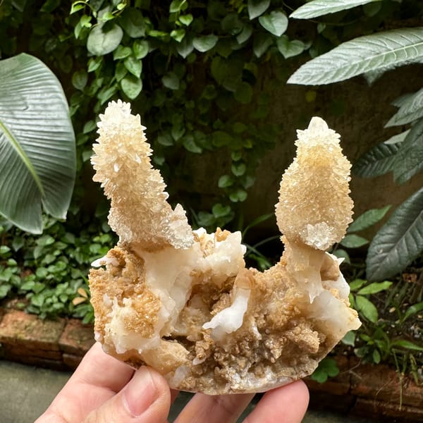 Two cream stalactitic calcite spires from Yunnan, China, top view
