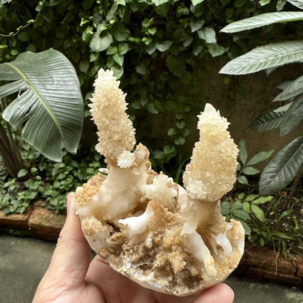Two cream stalactitic calcite spires from Yunnan, China, detail of the matrix contact