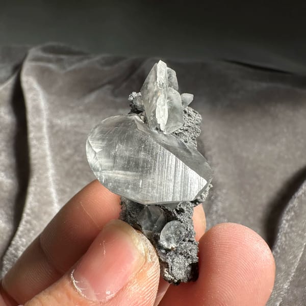 Clear serrated baryte blade on dark calcite from Guangxi, China, top view