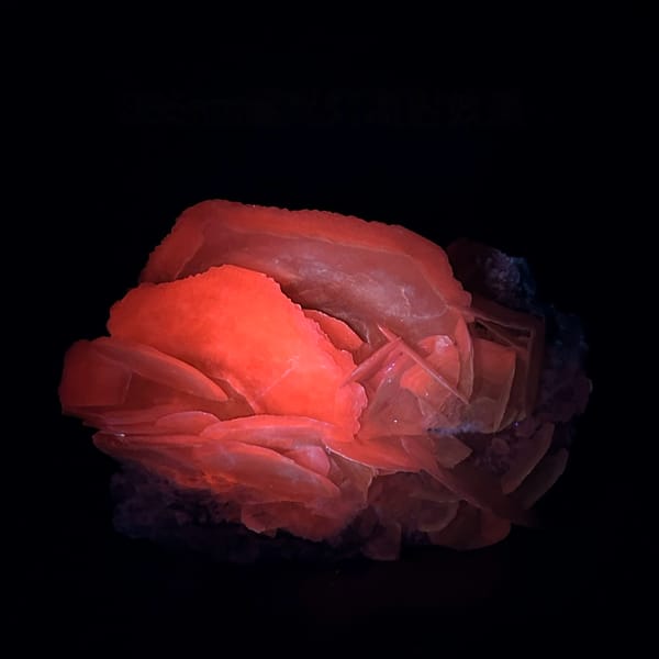 Large translucent platy calcite crystals stacked like petals from Hunan, China, second angle
