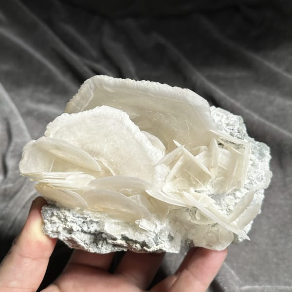 Large translucent platy calcite crystals stacked like petals from Hunan, China, detail of the matrix contact