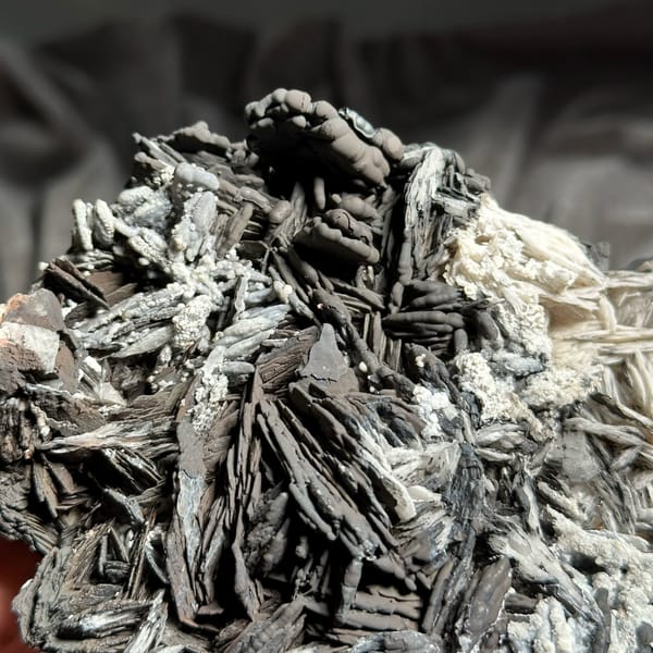 Black pyrolusite blades frosted with white aragonite from Morocco, reverse side