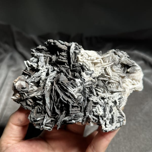 Black pyrolusite blades frosted with white aragonite from Morocco, detail of the matrix contact