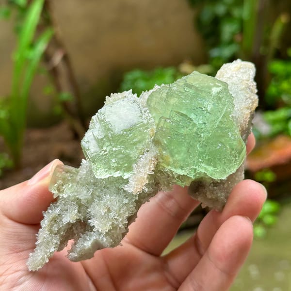 Transparent green fluorite cube on quartz druse plate from Fujian, China, second angle