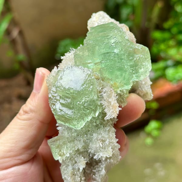 Transparent green fluorite cube on quartz druse plate from Fujian, China, close-up of the crystal faces
