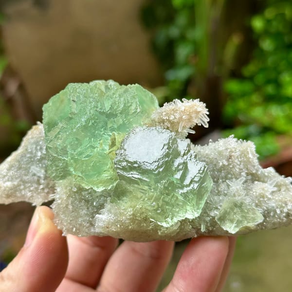 Transparent green fluorite cube on quartz druse plate from Fujian, China, reverse side