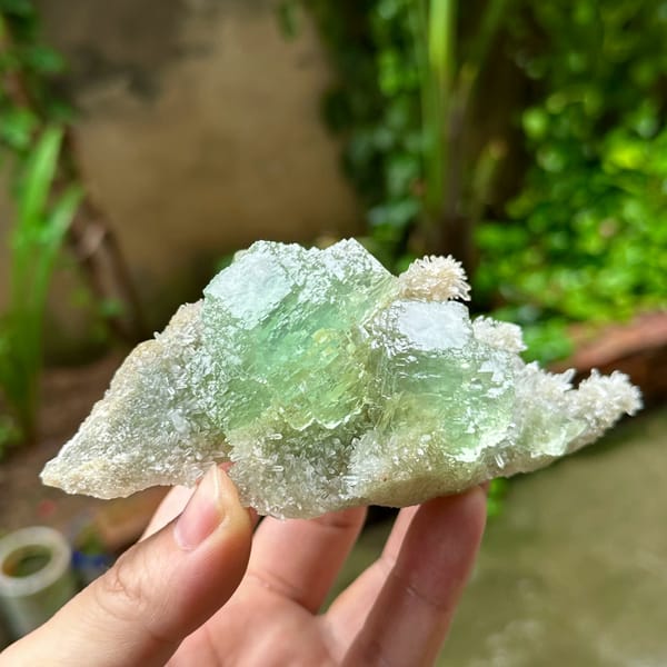 Transparent green fluorite cube on quartz druse plate from Fujian, China, top view