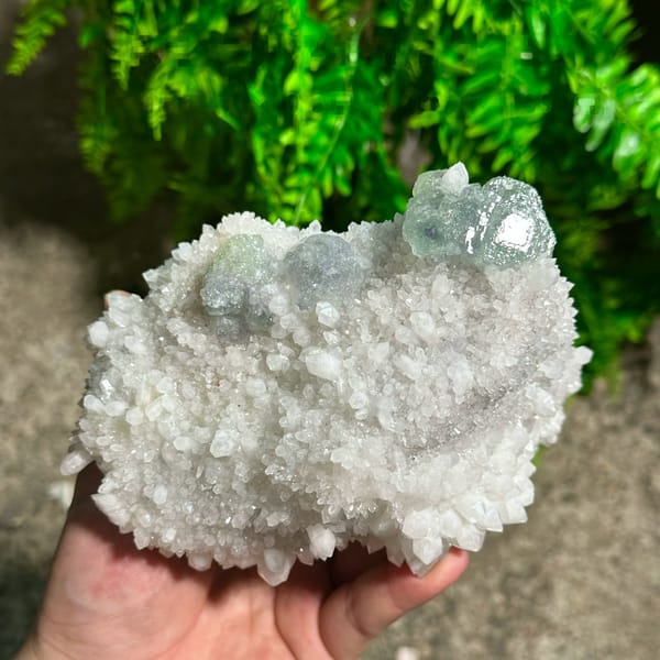 Large sparkling quartz floater with green fluorite cube from Fujian, China, held in hand