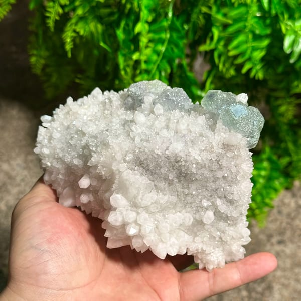 Large sparkling quartz floater with green fluorite cube from Fujian, China, close-up of the crystal faces