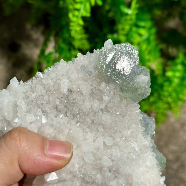 Large sparkling quartz floater with green fluorite cube from Fujian, China, reverse side