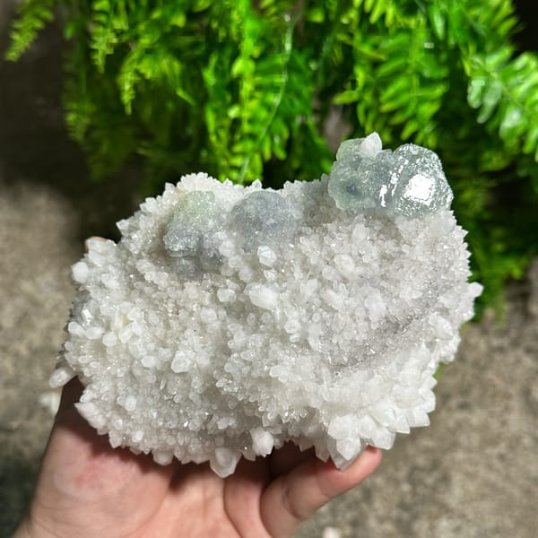 Large sparkling quartz floater with green fluorite cube from Fujian, China, detail of the matrix contact