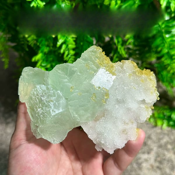 Yellow baryte floater with green fluorite and quartz druse from Jiangxi, China, held in hand