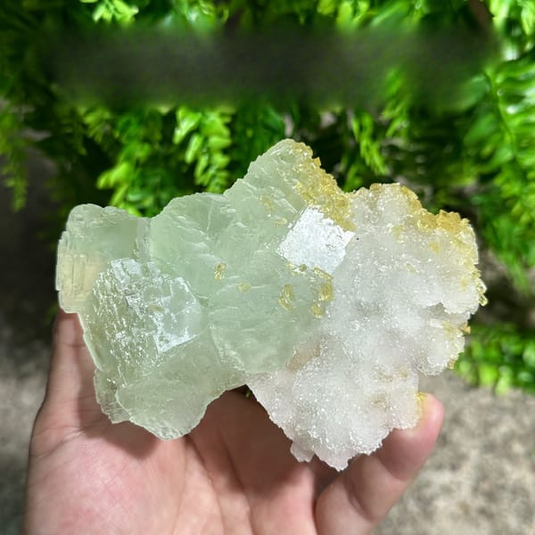 Yellow baryte floater with green fluorite and quartz druse from Jiangxi, China, detail of the matrix contact