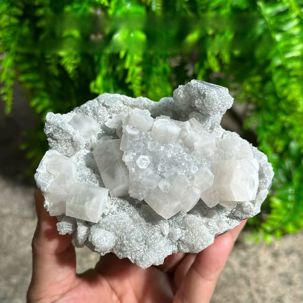 Frosted white prismatic calcite on grey quartz druse from Fujian, China, held in hand