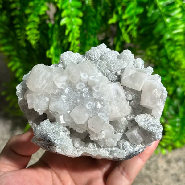 Frosted white prismatic calcite on grey quartz druse from Fujian, China, close-up of the crystal faces