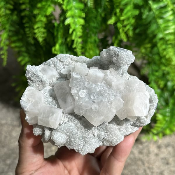 Frosted white prismatic calcite on grey quartz druse from Fujian, China, detail of the matrix contact