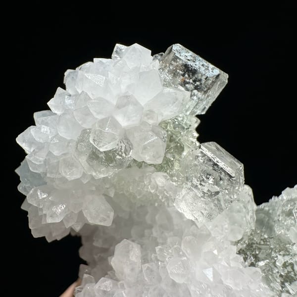 Transparent green fluorite cubes with inclusions on white quartz from Guangdong, China, reverse side