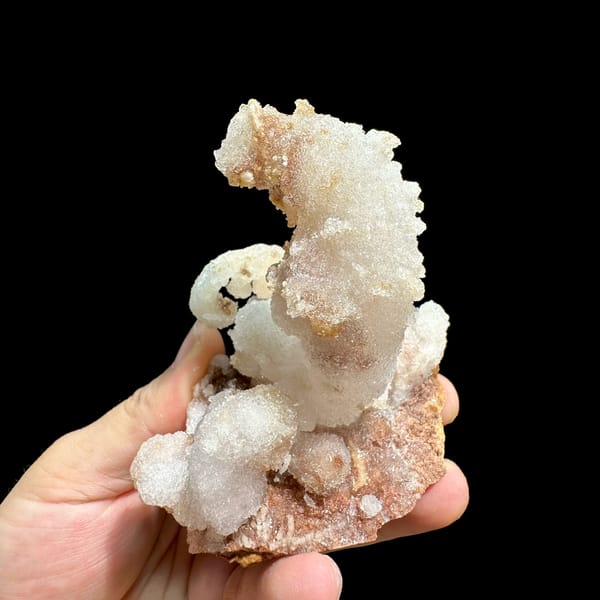 Curved ram's-horn gypsum spire from Guizhou, China, close-up of the crystal faces