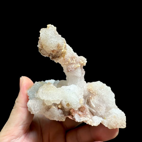 Curved ram's-horn gypsum spire from Guizhou, China, reverse side