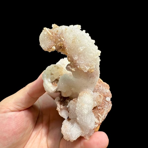 Curved ram's-horn gypsum spire from Guizhou, China, top view