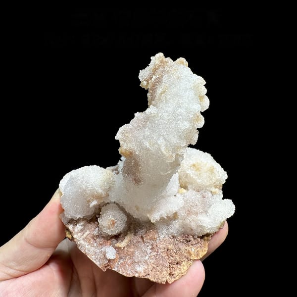 Curved ram's-horn gypsum spire from Guizhou, China, detail of the matrix contact