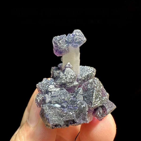 Violet fluorite octahedra on pale quartz prism from Inner Mongolia, China, held in hand