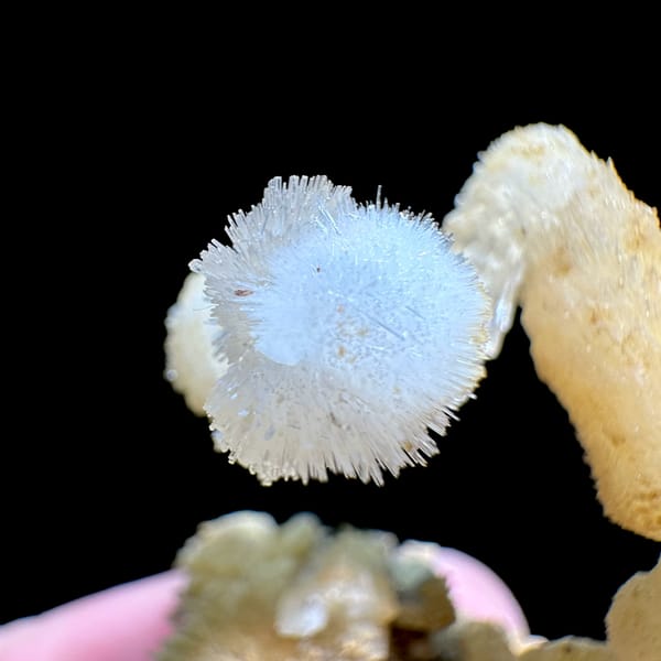Curling white and yellow aragonite stalactite from Guizhou, China, second angle