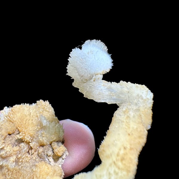 Curling white and yellow aragonite stalactite from Guizhou, China, close-up of the crystal faces