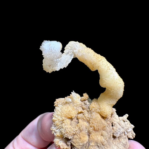 Curling white and yellow aragonite stalactite from Guizhou, China, top view