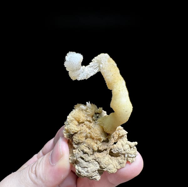 Curling white and yellow aragonite stalactite from Guizhou, China, detail of the matrix contact
