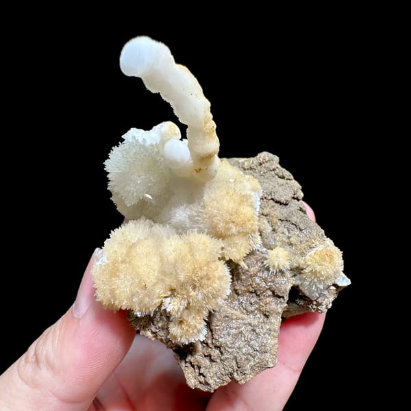 Yellow and white aragonite with hooked spire from Guizhou, China, reverse side
