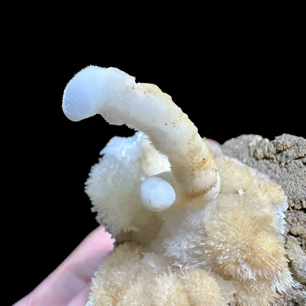 Yellow and white aragonite with hooked spire from Guizhou, China, top view