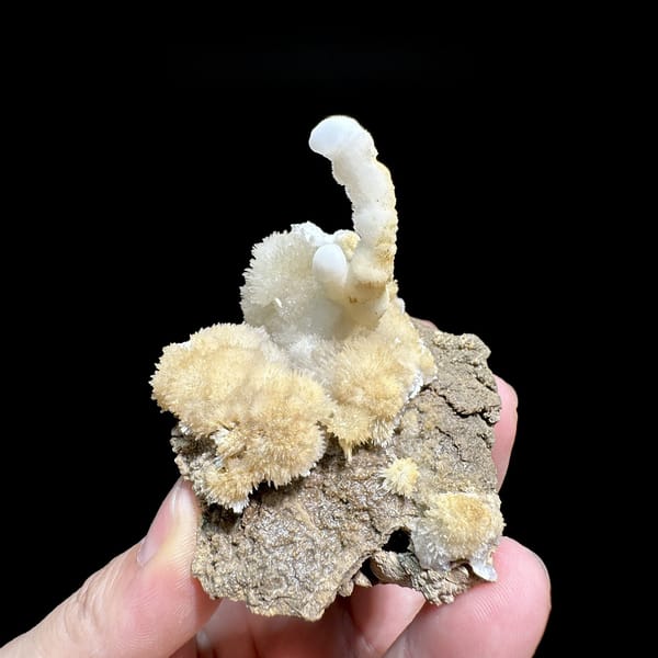 Yellow and white aragonite with hooked spire from Guizhou, China, detail of the matrix contact