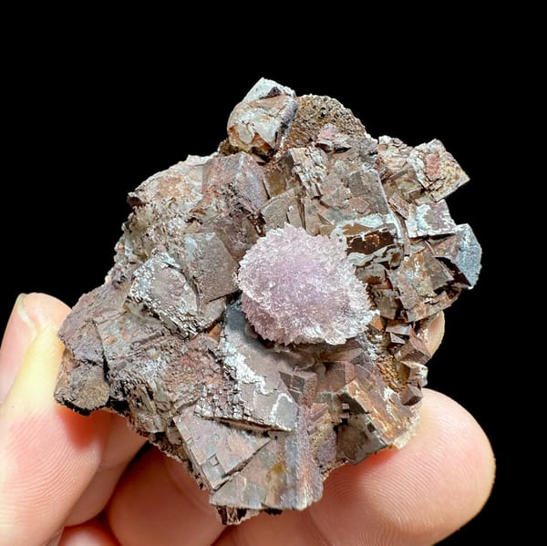 Purple creedite ball on iron-stained fluorite cubes from Guizhou, China, reverse side