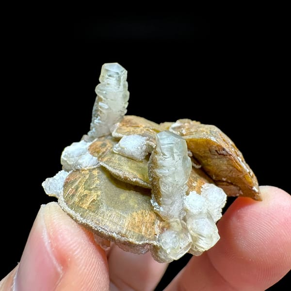 Golden siderite rhombs with white calcite prisms from Guizhou, China, held in hand