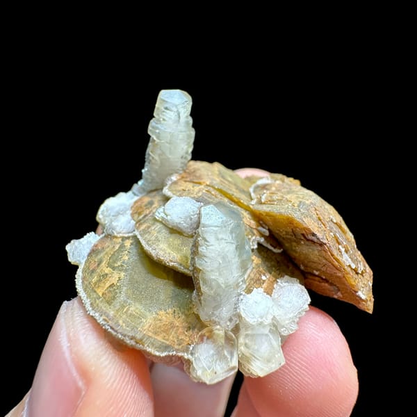 Golden siderite rhombs with white calcite prisms from Guizhou, China, close-up of the crystal faces
