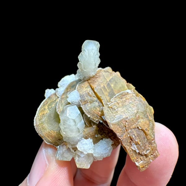 Golden siderite rhombs with white calcite prisms from Guizhou, China, reverse side