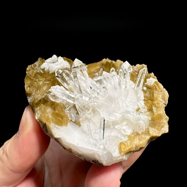 Clear quartz needles in hollow of golden siderite and dolomite from Guizhou, China