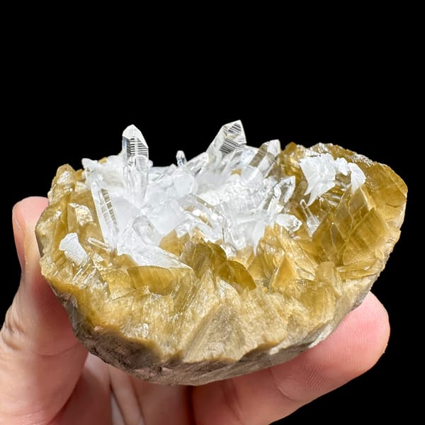 Clear quartz needles in hollow of golden siderite and dolomite from Guizhou, China, close-up of the crystal faces