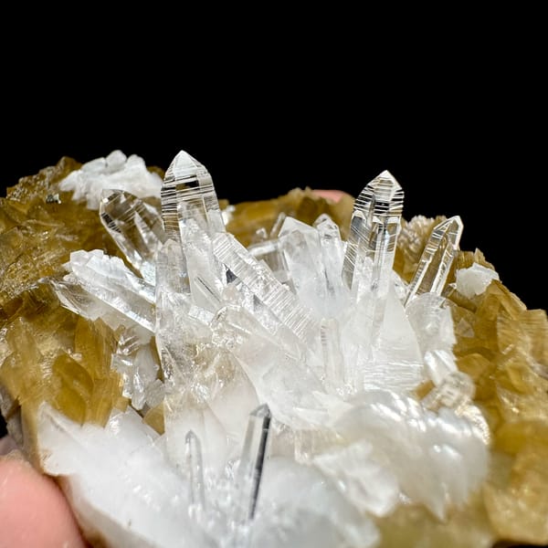 Clear quartz needles in hollow of golden siderite and dolomite from Guizhou, China, reverse side