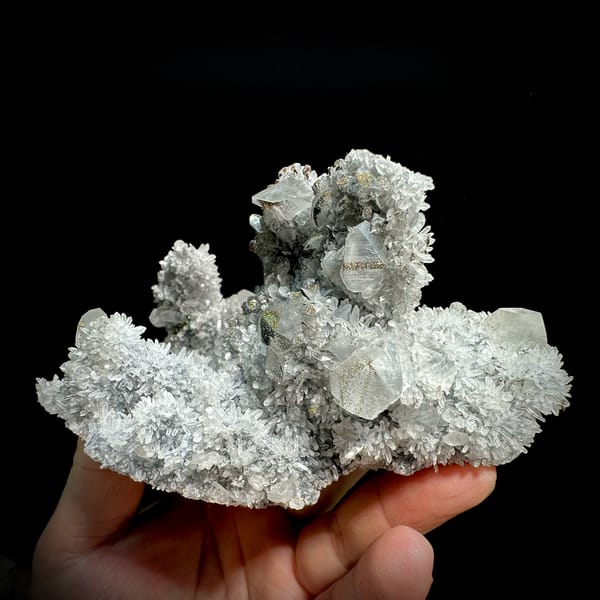 Star calcite crystals on grey quartz needles with pyrite from Fujian, China, held in hand