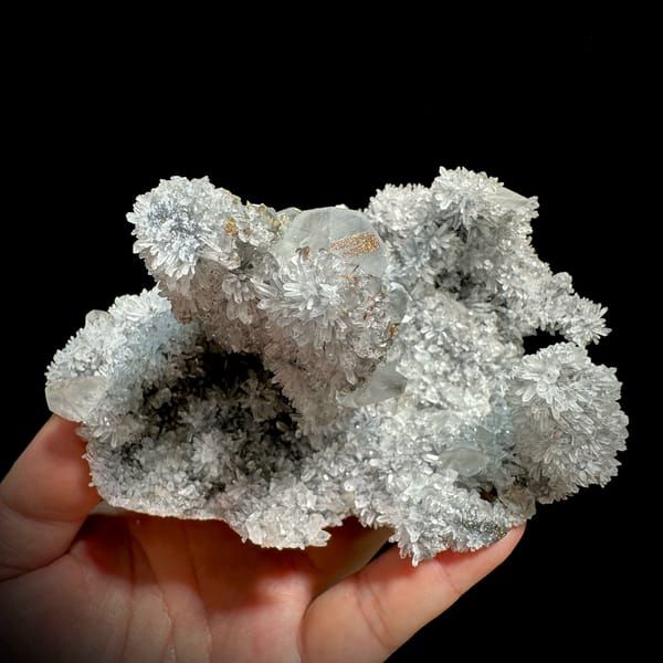 Star calcite crystals on grey quartz needles with pyrite from Fujian, China, top view