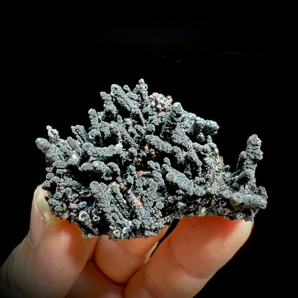Dark limonite-coated quartz cluster with coral-like form from Fujian, China, held in hand