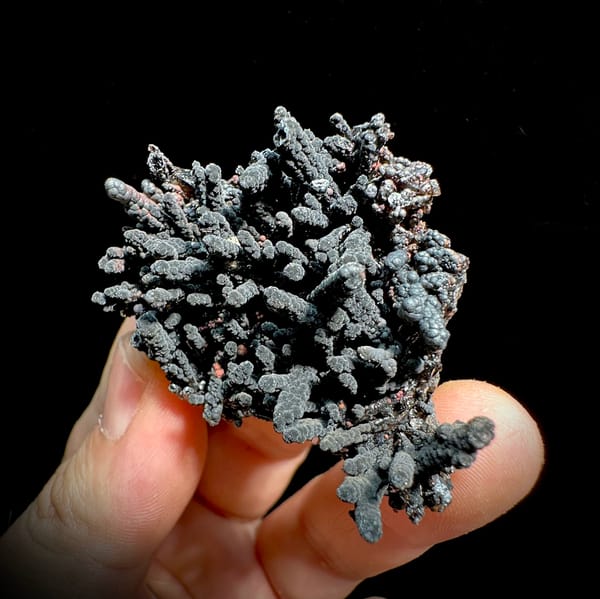 Dark limonite-coated quartz cluster with coral-like form from Fujian, China, second angle