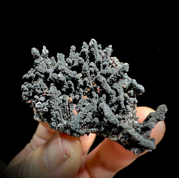Dark limonite-coated quartz cluster with coral-like form from Fujian, China, close-up of the crystal faces