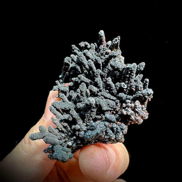 Dark limonite-coated quartz cluster with coral-like form from Fujian, China, top view