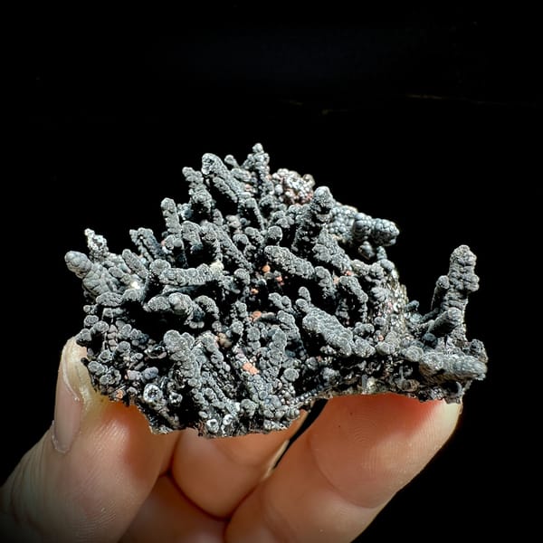 Dark limonite-coated quartz cluster with coral-like form from Fujian, China, detail of the matrix contact