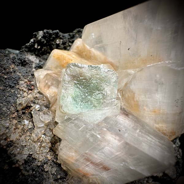 Star calcite crystals enclosing green fluorite on dark matrix from Fujian, China, close-up of the crystal faces