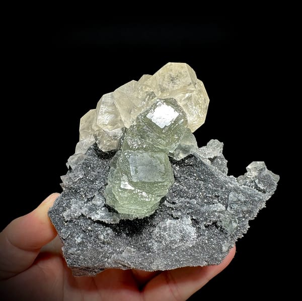 Pale green fluorite cubes with calcite on dark quartz from Fujian, China, held in hand